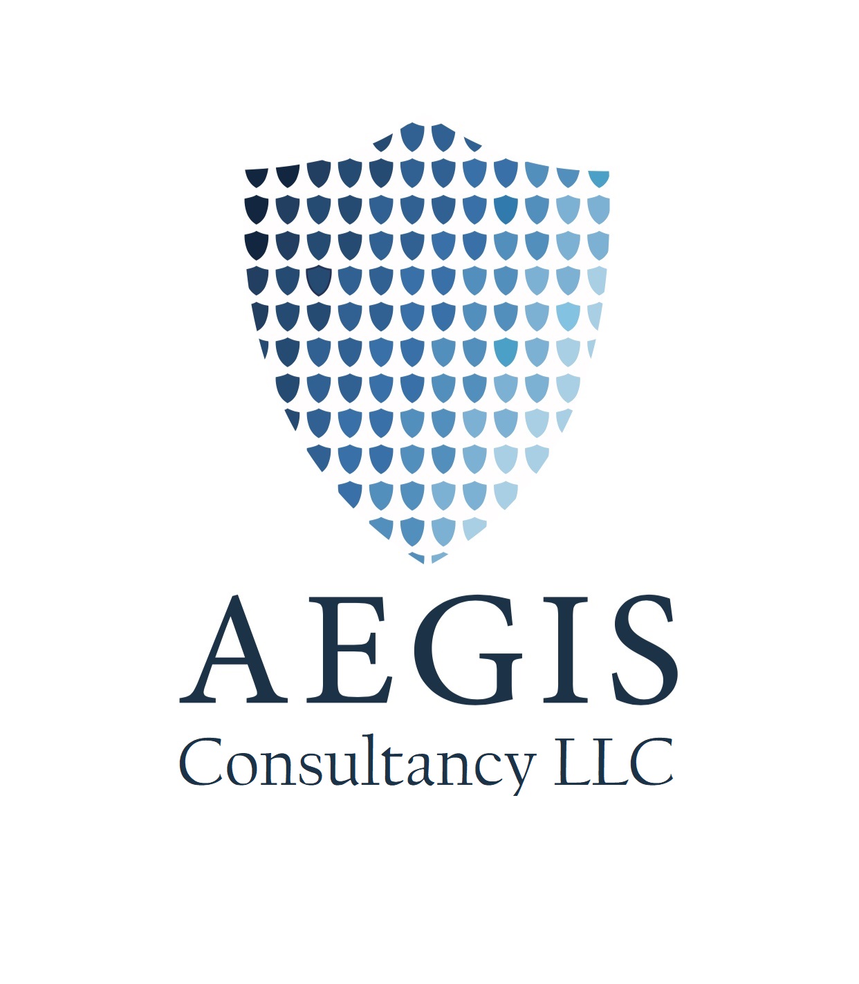 AEGIS CONSULTANCY LLC